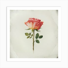 Rose On A Stem Art Print