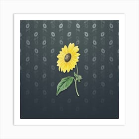 Vintage California Sunflower Botanical on Slate Gray Pattern n.2320 Art Print