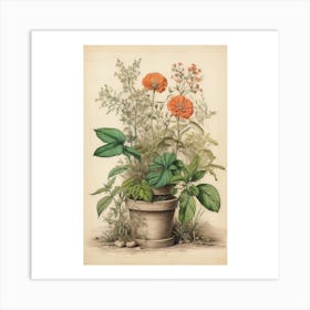 Orange Flowers In A Pot Art Print