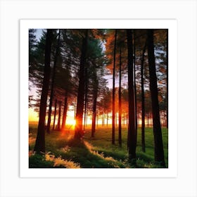 Sunrise In The Forest 11 Art Print