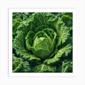 Cabbage Close Up Art Print