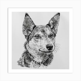 Canaan Dog Line Sketch 4 Art Print