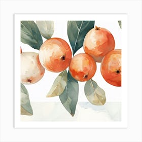 Pomegranate Art Print