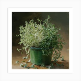 Sage In A Pot Art Print