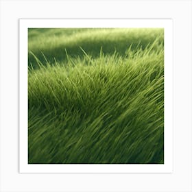 Green Grass 25 Art Print
