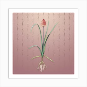 Vintage Veltheimia Abyssinica Botanical on Dusty Pink Pattern n.0585 Art Print