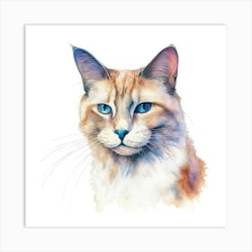 Lambkin Cat Portrait 3 Art Print