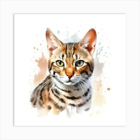 Bengal Marbled Cat Portrait Art Print