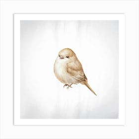 Watercolor Sparrow Art Print