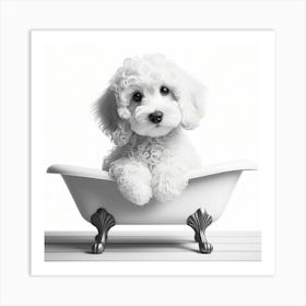 Poodle In Bathtub 2 Art Print