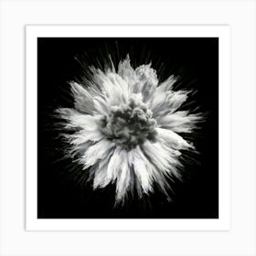 Firefly Striking Monochrome Contrast Of Hyper White And Super Black 6680 (2) Art Print