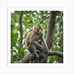 Monkey In A Tree Art Print