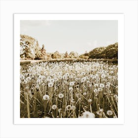 Dandelion Meadow Square Art Print