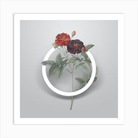 Vintage Van Eeden Rose Minimalist Flower Geometric Circle on Soft Gray n.0286 Art Print