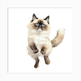 Siamese Cat 6 Art Print