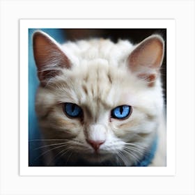 Blue Eyes Cat Art Print