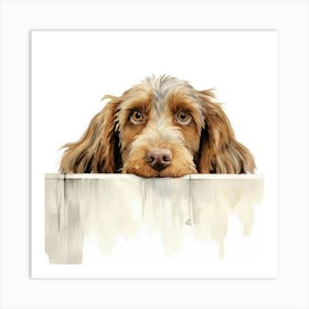 Spinone Italiano Dog 3 Art Print