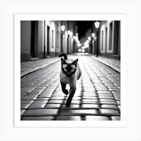 Siamese Cat Art Print