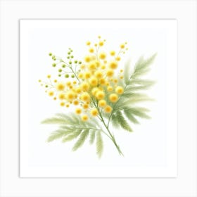 Flower of Mimosa 1 Art Print