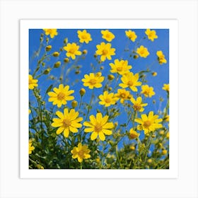 Yellow Flowers Against A Blue Sky Art Print