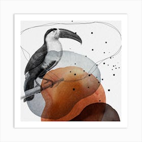 Feathered Friends Toucan Black & Brown Square Art Print