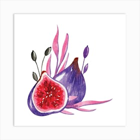 Watercolor Figs Art Print