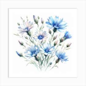 Flowers of Chicory 2 Art Print