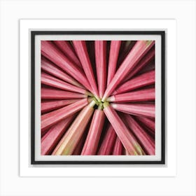 Rhubarb 79 Art Print