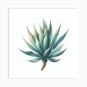 Agave Art Print