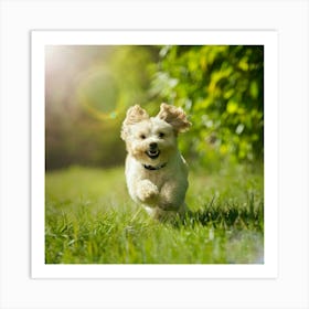 Dog Running In The Grass Art Print