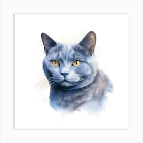 Chartreux Cat Portrait 2 Art Print