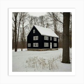 Black House In The Woods Art Print