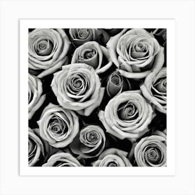 Black And White Roses 24 Art Print