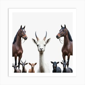 Group Of Horses, Transparent Png Download 1 Art Print