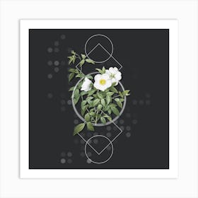 Vintage White Rose of Snow Botanical with Geometric Line Motif and Dot Pattern Art Print