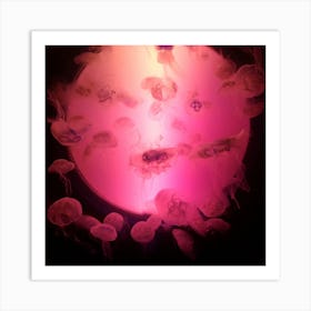 Pink jellyfish Art Print