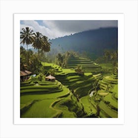 Rice Terraces In Bali Art Print