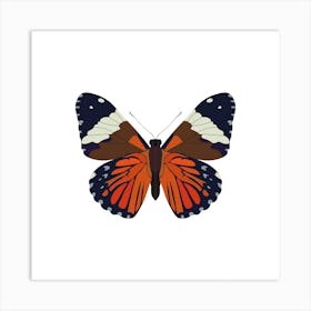 Hamadryas Butterfly Square Art Print