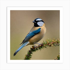 Blue Tit 53 Art Print