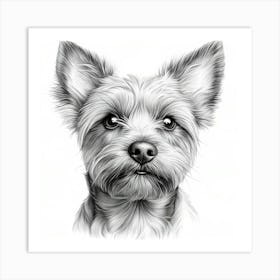 Yorkshire Terrier 2 Art Print