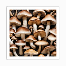 Many Mushrooms On A Black Background 1 Art Print