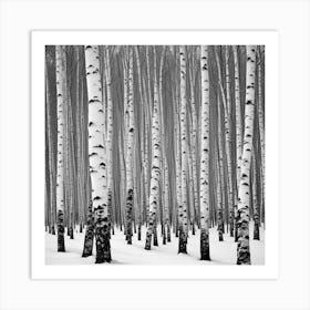 Birch Trees In Winter Art Print