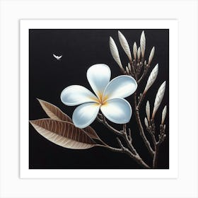 White Frangipani 1 Art Print