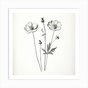 Black And White Flowers Art Print