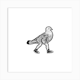 Pigeon Art Print