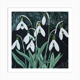 Snowdrops Art Print