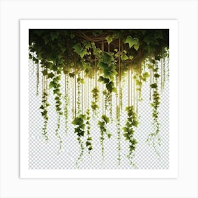 Ivy Hanging From The Ceiling Art Print