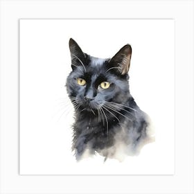 Russian Black Cat Portrait Art Print