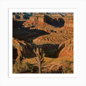 Grand Canyon Art Print