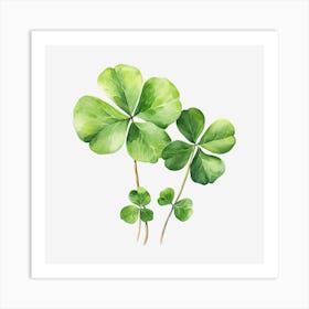 Four Leaf Clover 14 Art Print